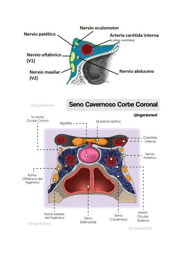 Miniatura del documento th-11.pdf