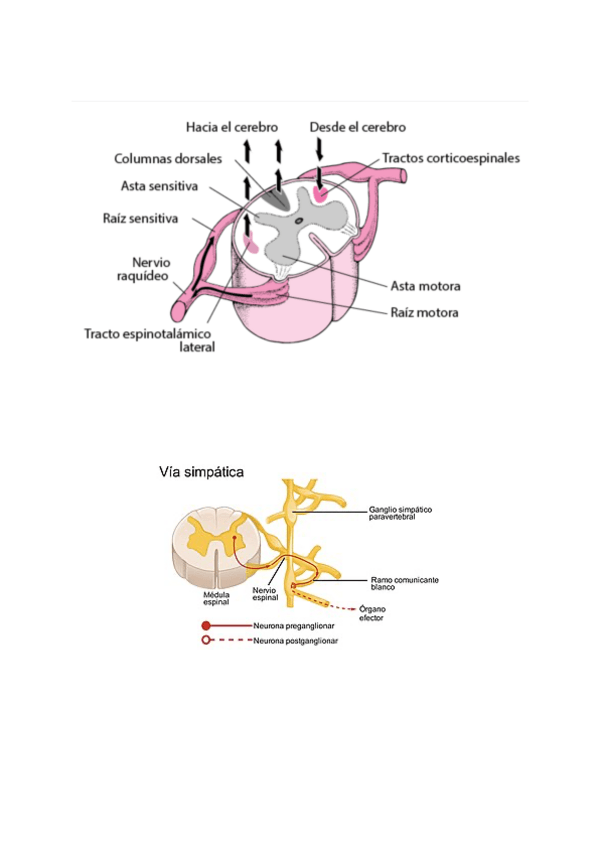 Miniatura del documento th-44.pdf