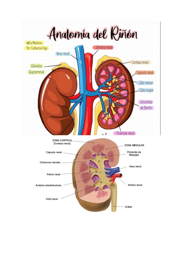 Miniatura del documento th29.pdf