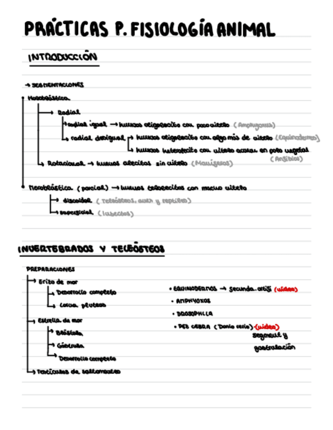 Miniatura del documento 1.-Invertebrados-Y-Teleosteos.pdf