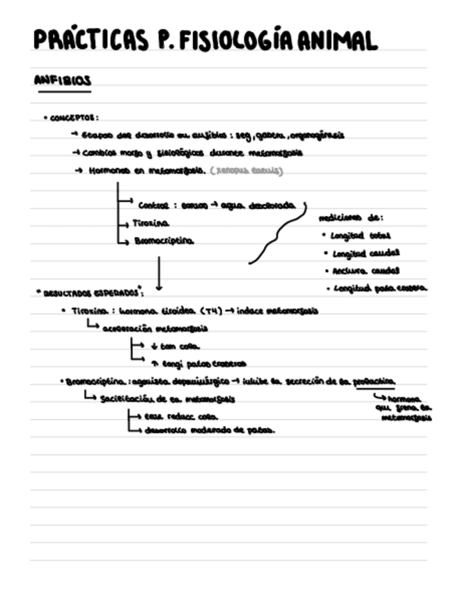 Miniatura del documento 2.-Anfibios.pdf