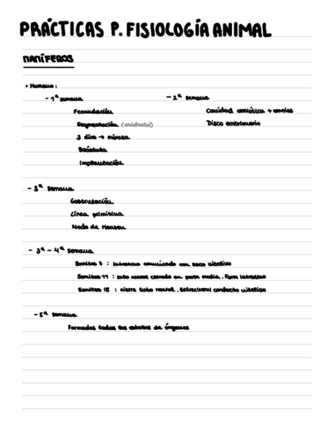 Miniatura del documento 4.-Mamiferos.pdf