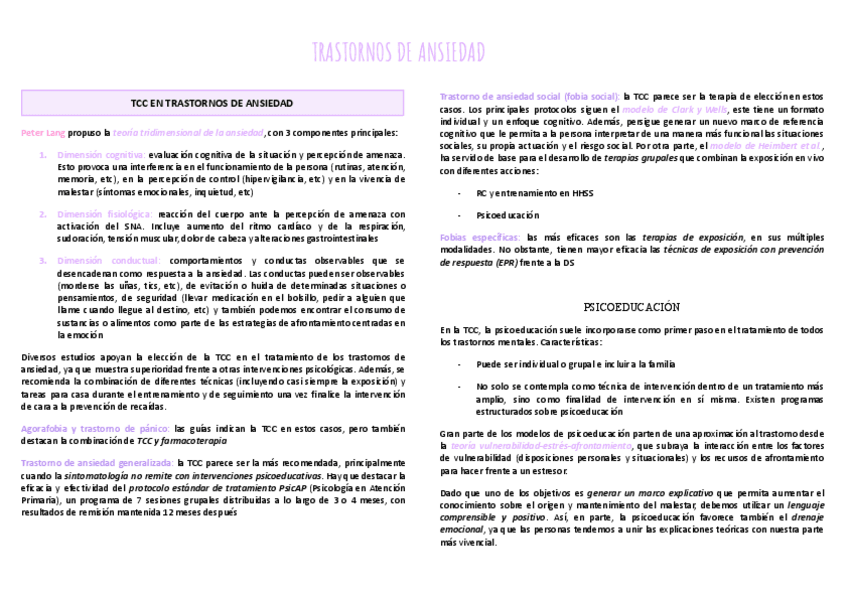 Miniatura del documento RESUMEN-T2.pdf