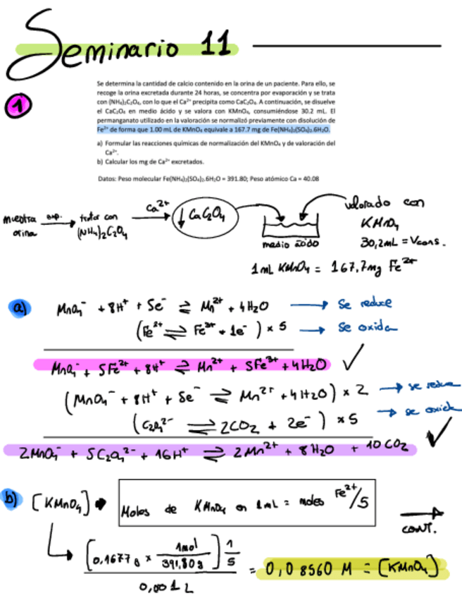 Miniatura del documento Seminario-11.pdf