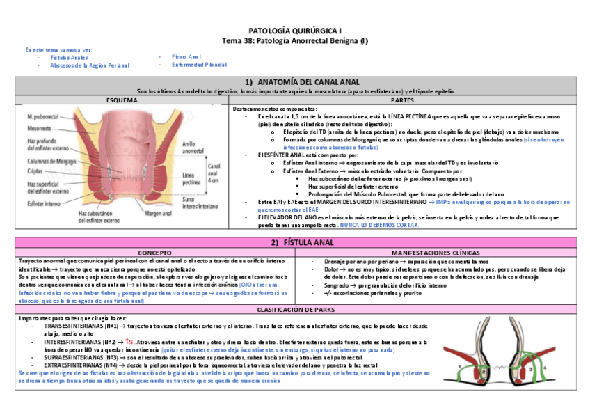 Miniatura del documento Tema-38-Anorrectal-I-TABLA.pdf