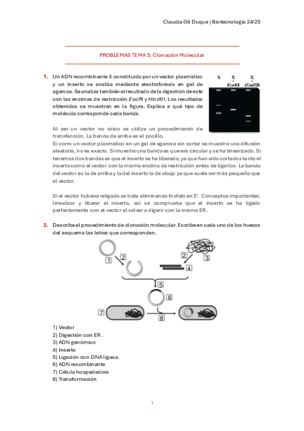 Miniatura del documento PROBLEMAS-TEMA-5.pdf