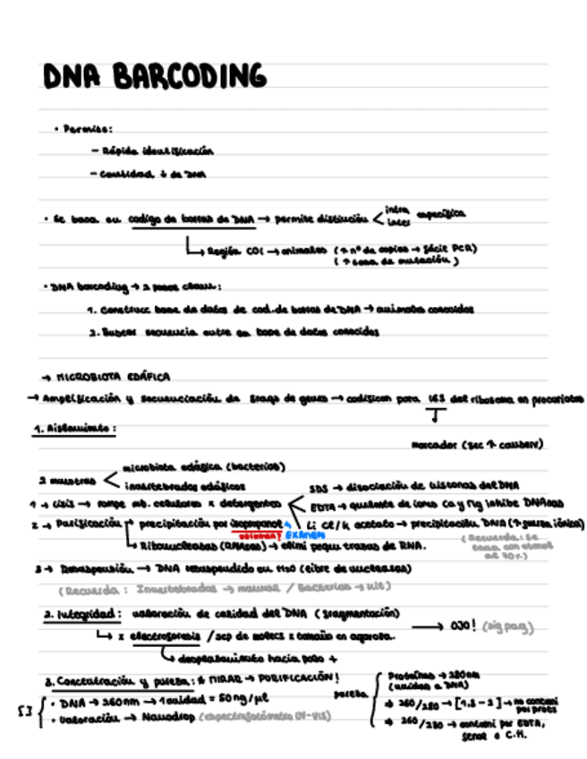 Miniatura del documento Practica-2.-DNA-Barcoding.pdf