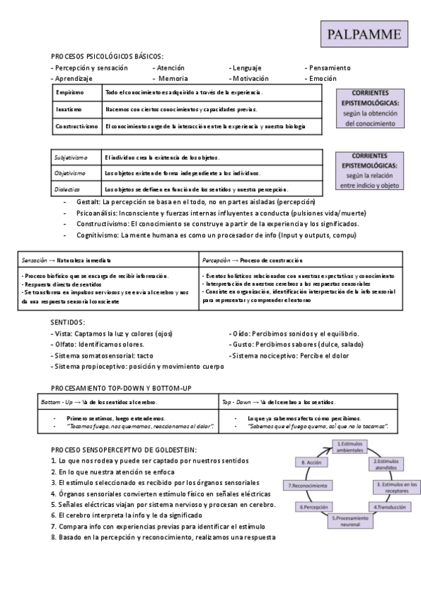 Miniatura del documento resumen-sensacion.pdf