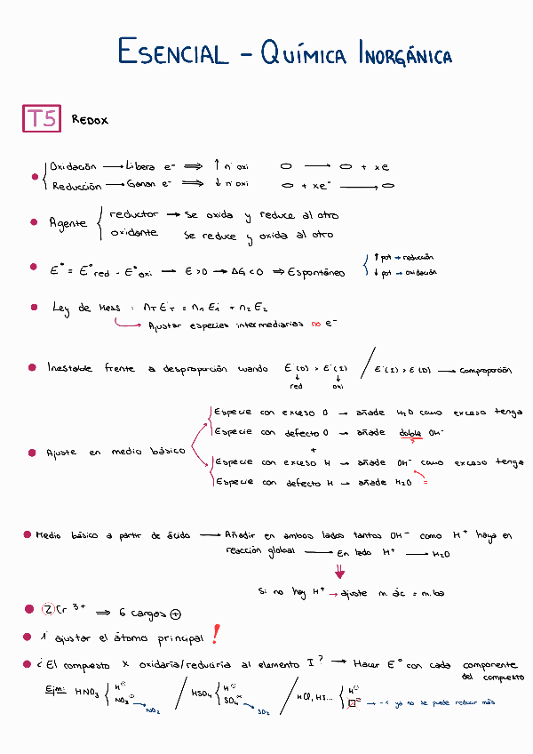 Miniatura del documento Resumen-esencial-T5.pdf