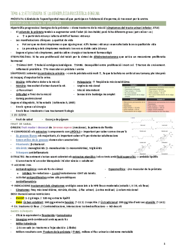 Miniatura del documento Fitoterapia-Tema-6.2-Hiperplasia-beninga-de-prostata.pdf