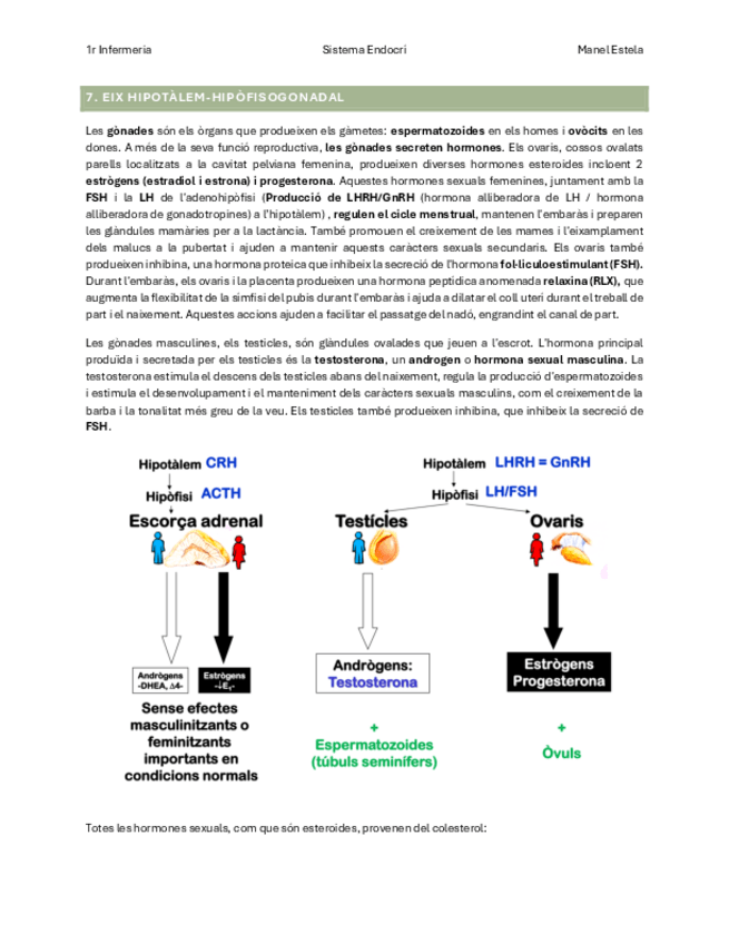 Miniatura del documento FISIOLOGIA-II-Endocri-gonadal-I-recproductor-Tema-9-I-10.pdf