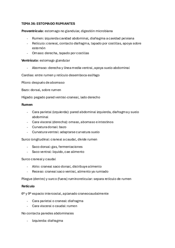 Miniatura del documento resumen-anatomia-tema-36.pdf