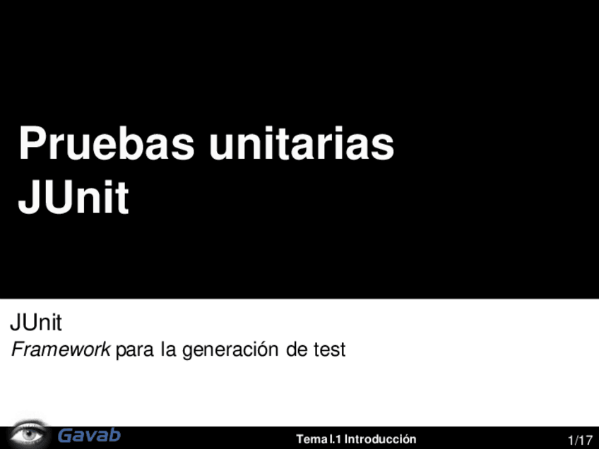 Miniatura del documento Junit.pdf