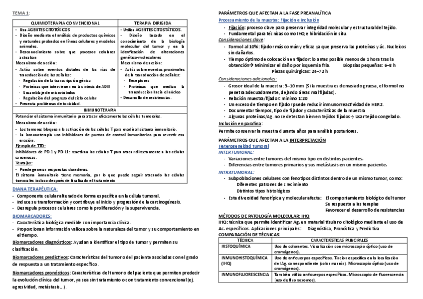 Miniatura del documento LO-MAS-IMPORTANTE.pdf