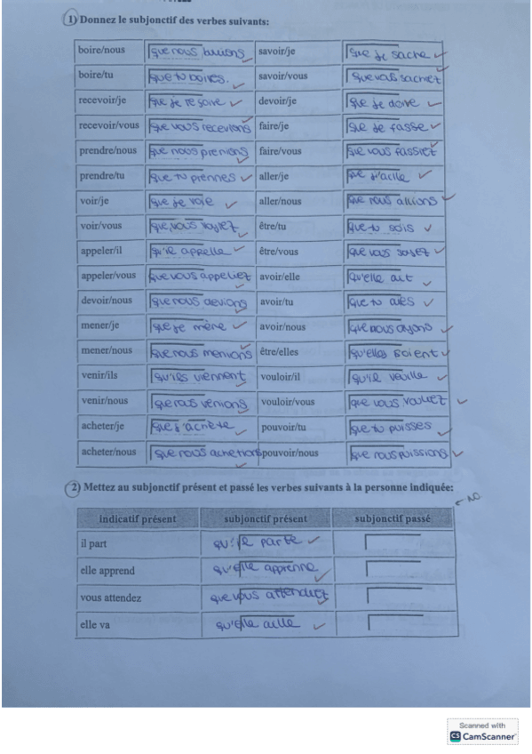 Miniatura del documento Ejercicios-subjuntivo.pdf