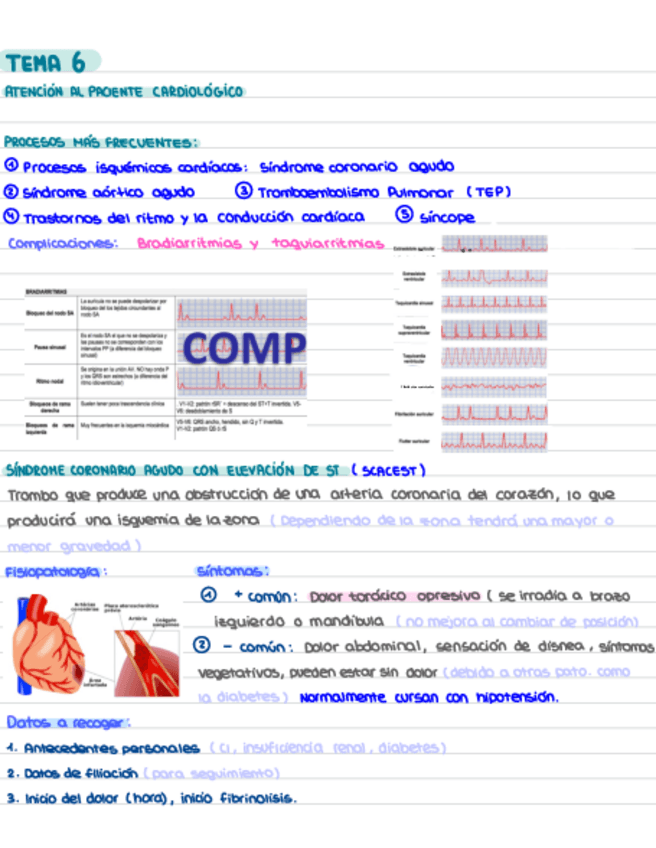 Miniatura del documento TEMA-6-Criticos.pdf