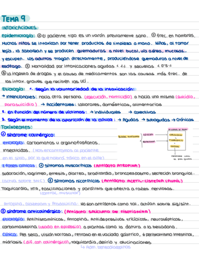Miniatura del documento TEMA-9-Criticos.pdf
