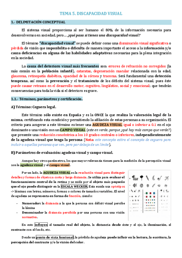 Miniatura del documento TEMA-5.-DISCAPACIDAD-VISUAL.pdf