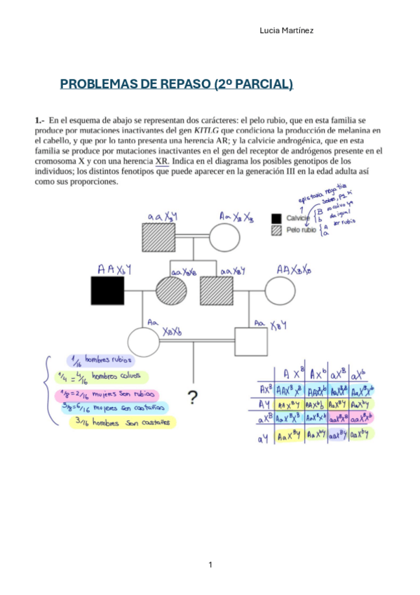 Miniatura del documento Problemas-repaso-2o-parcial.pdf
