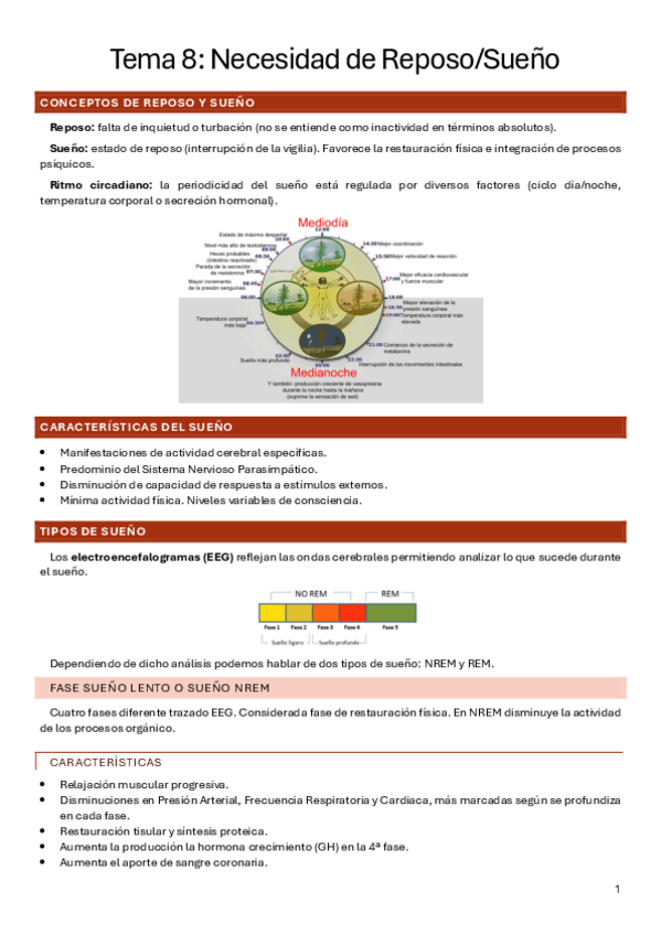 Miniatura del documento Apuntes-Tema-8-Cuidados-Necesidad-de-repososueno.pdf