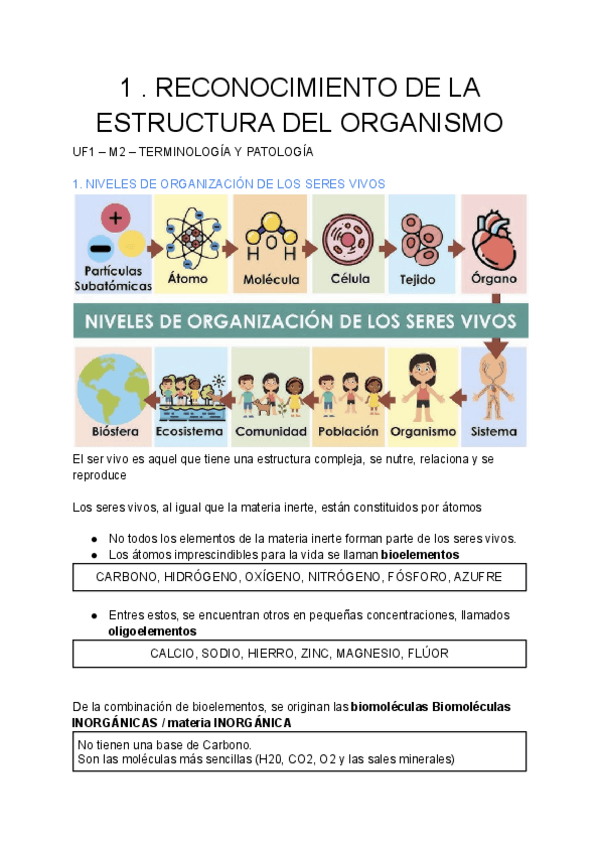 Miniatura del documento 1-RECONOCIMIENTO-DE-LA-ESTRUCTURA-DEL-ORGANISMO.pdf