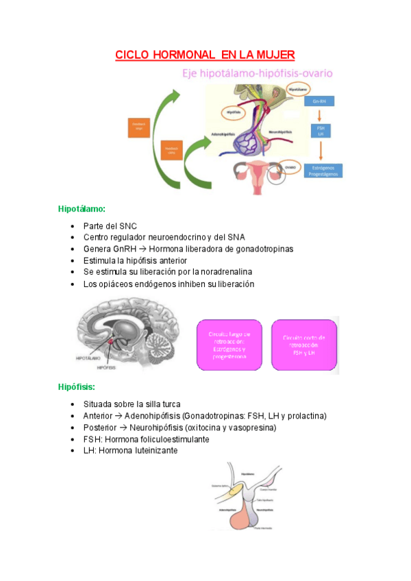 Miniatura del documento 1.-CICLO-HORMONAL-EN-LA-MUJER.pdf