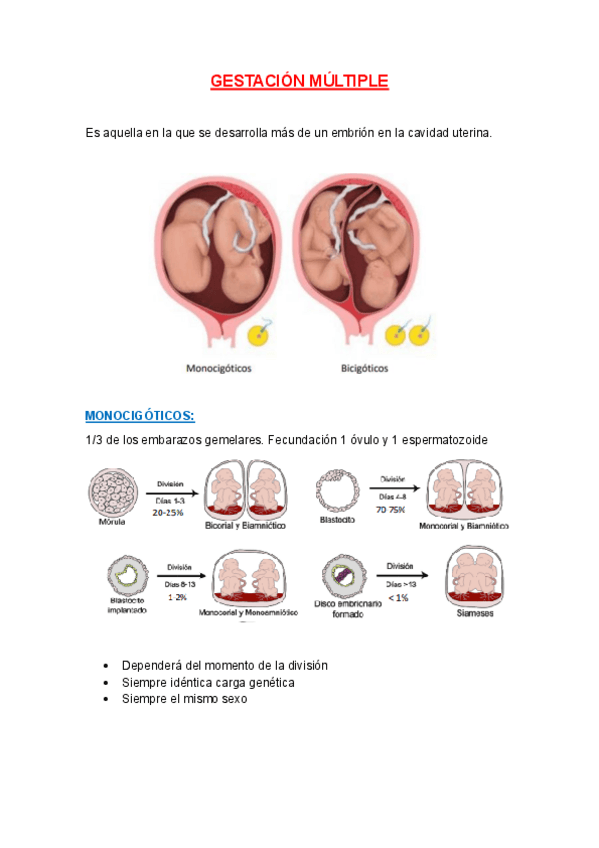 Miniatura del documento 11.-6.-GESTACION-MULTIPLE.pdf