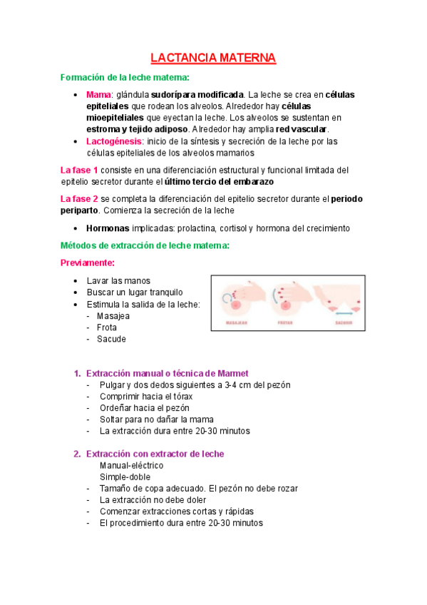 Miniatura del documento 12.-2.-LACTANCIA-MATERNA.pdf