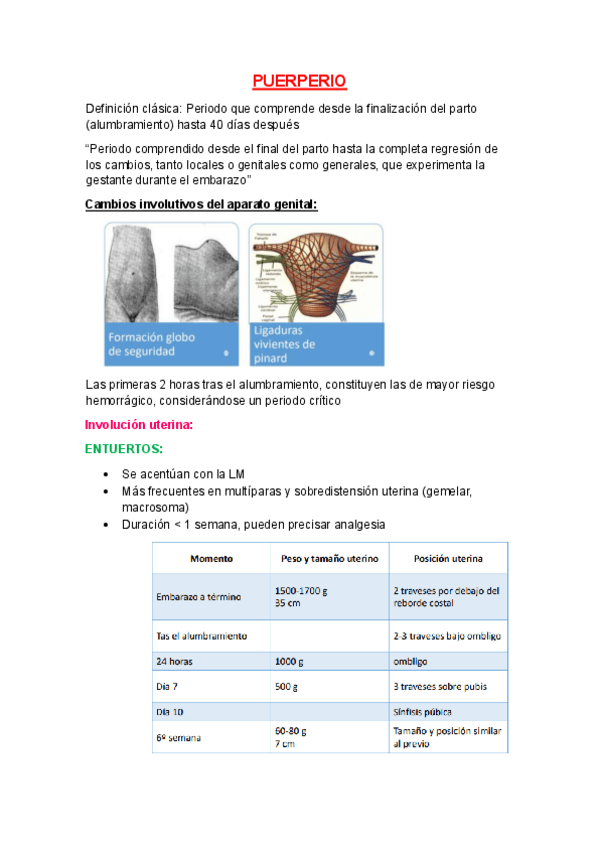 Miniatura del documento 19.-PUERPERIO.pdf