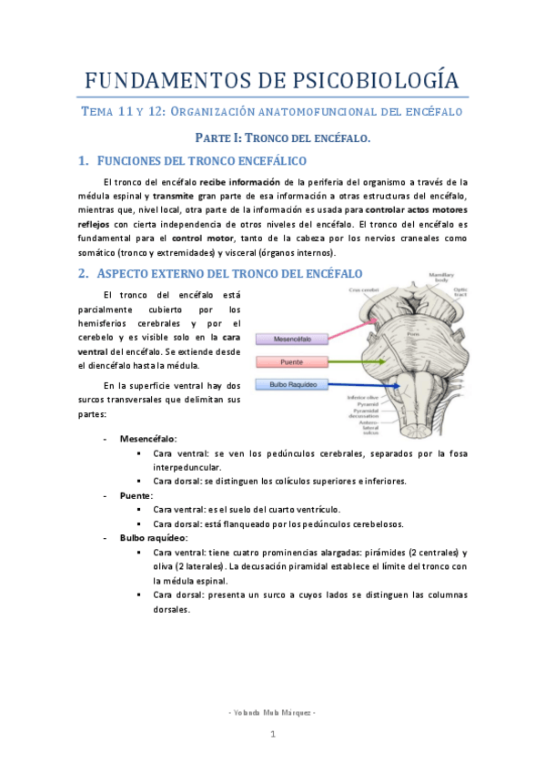 Miniatura del documento FPB Tema 11 y 12.pdf