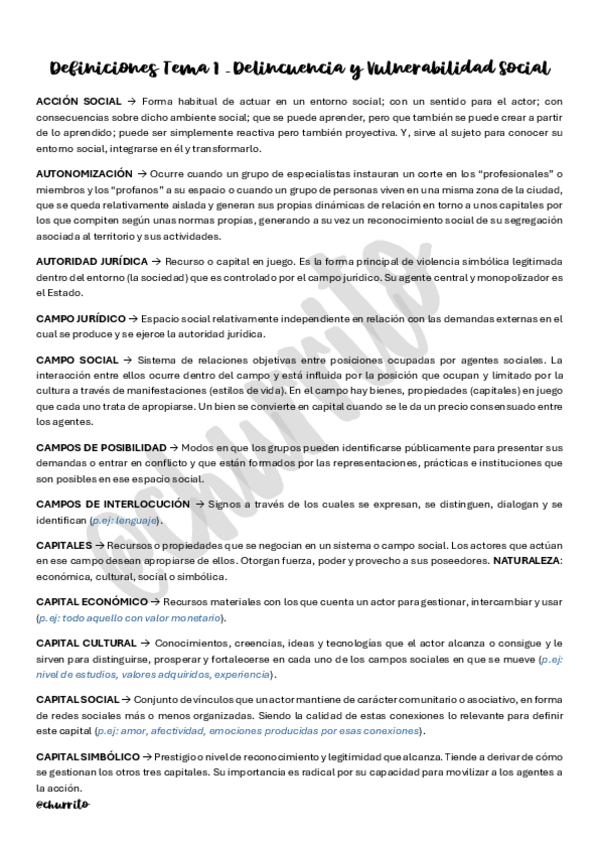 Miniatura del documento DVS-CONCEPTOS-TEMA-1.pdf