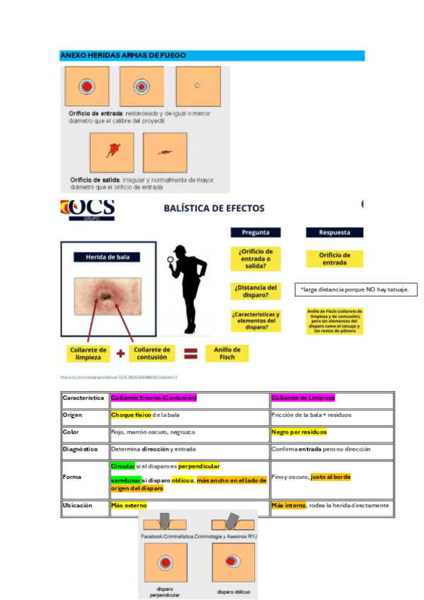 Miniatura del documento 3.11-ANEXO-HERIDAS-ARMAS-DE-FUEGO.pdf