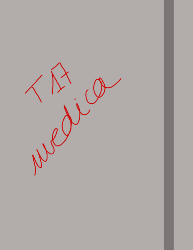 Miniatura del documento Th17.pdf