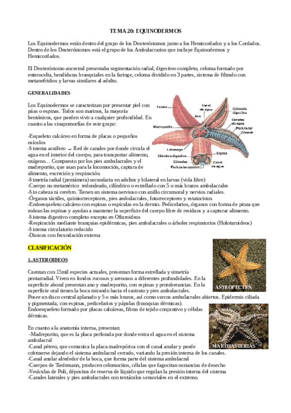 Miniatura del documento TEMA-20-ZOO.pdf