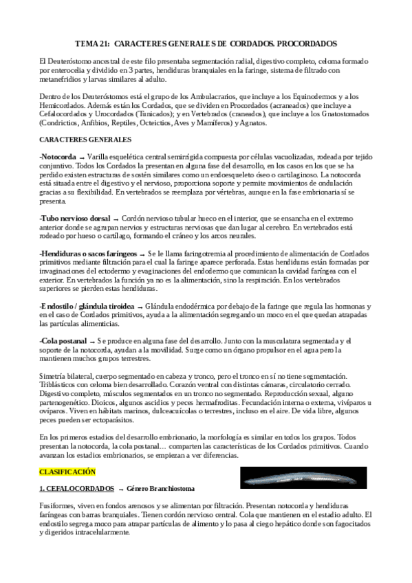 Miniatura del documento TEMA-21-ZOO.pdf