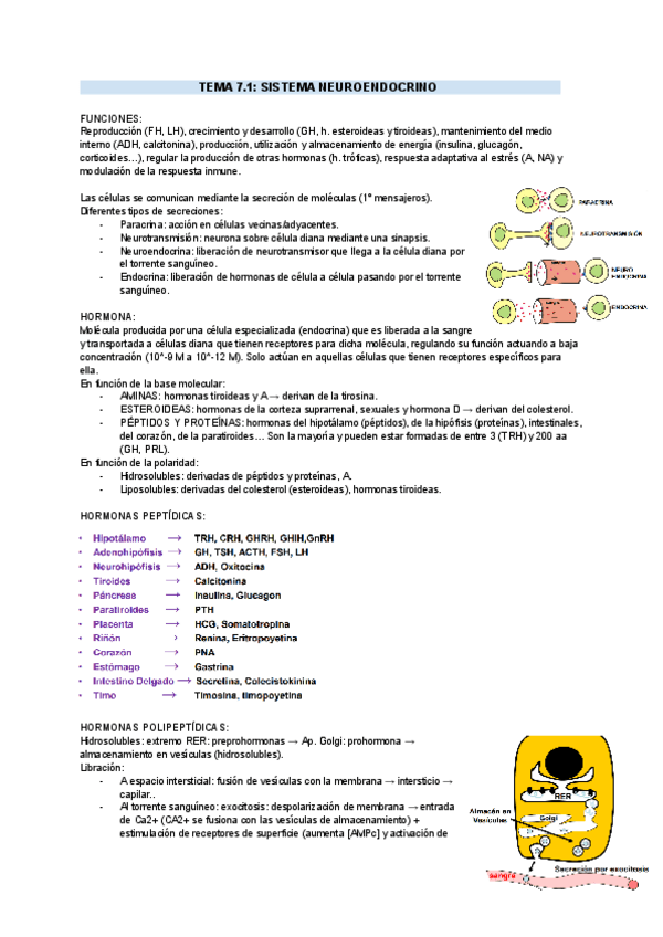 Miniatura del documento FISIO-Parcial-4.pdf