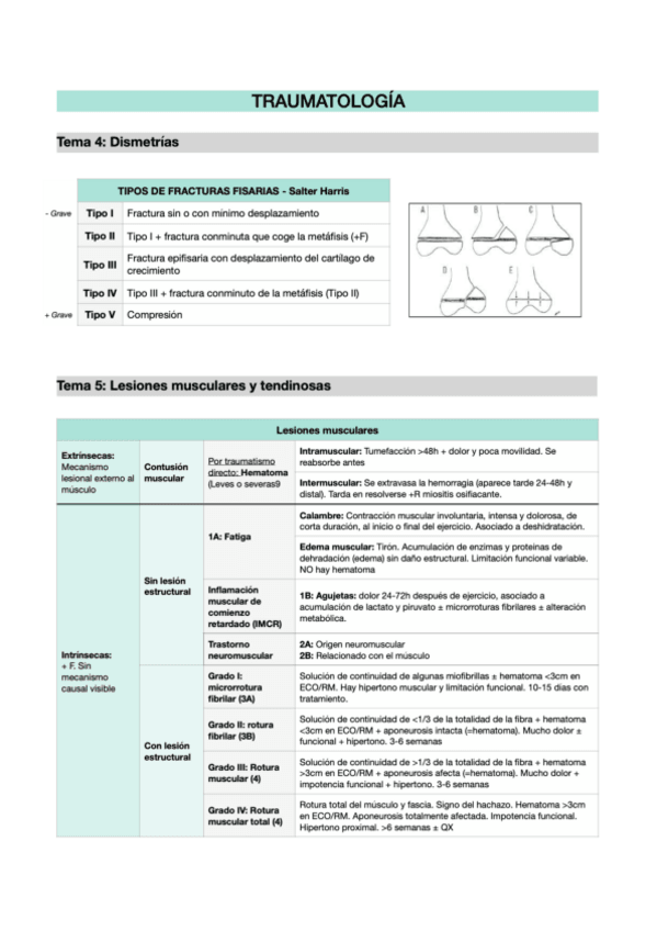 Miniatura del documento Resumen-Trauma.pdf