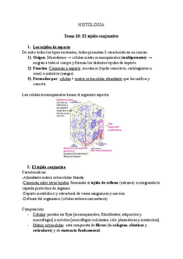 Miniatura del documento Tema-10-El-tejido-conjuntivo.pdf