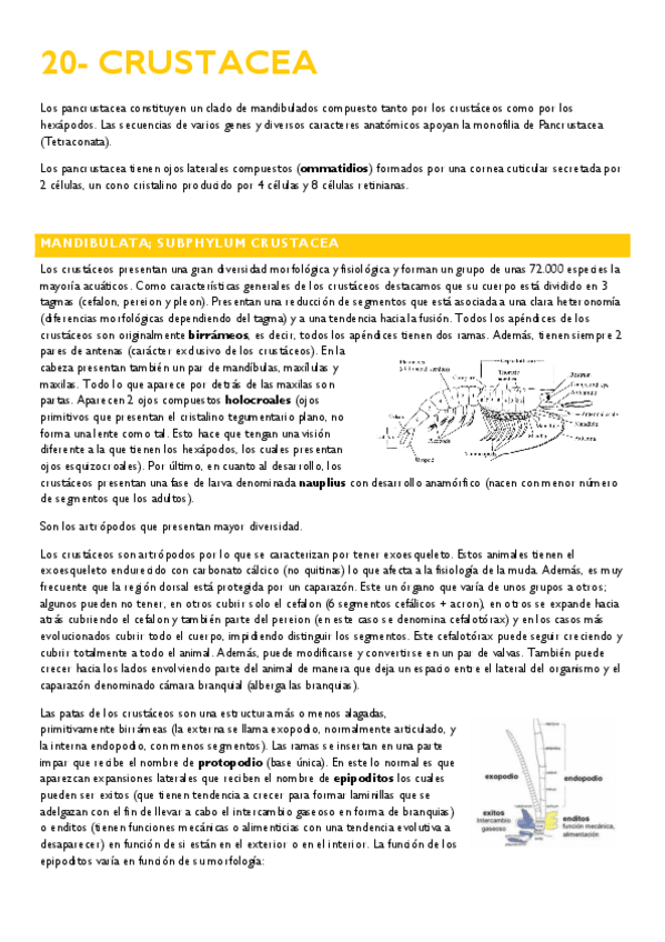 Miniatura del documento 20-CRUSTACEA.pdf