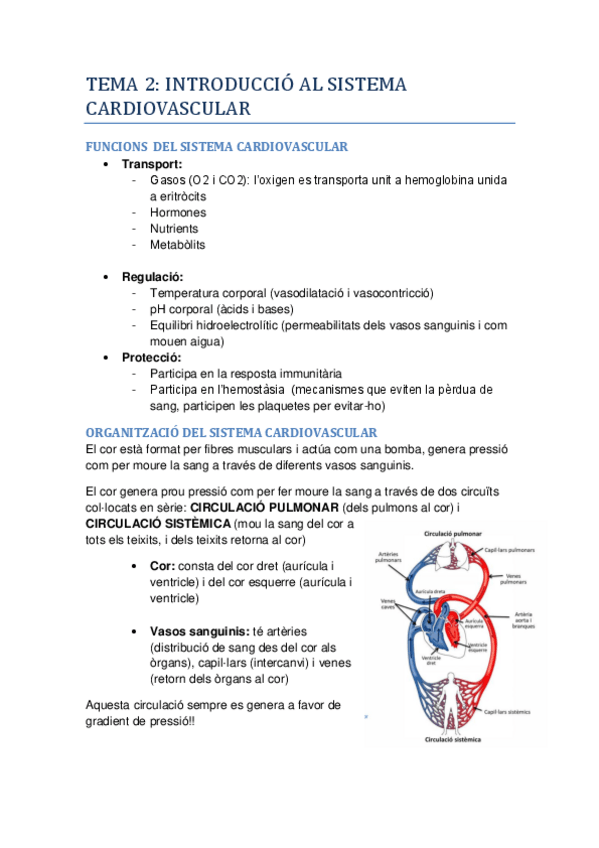 Miniatura del documento TOT-FISIO-1r-PARCIAL.pdf