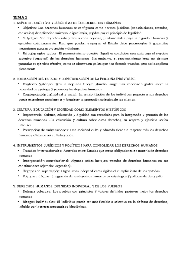 Miniatura del documento apuntes-derechos-humanos.pdf