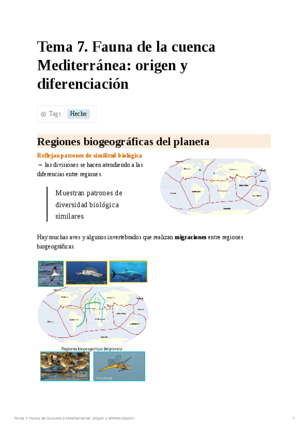 Miniatura del documento Tema 7. Fauna de la cuenca Mediterránea: origen y diferenciación.pdf