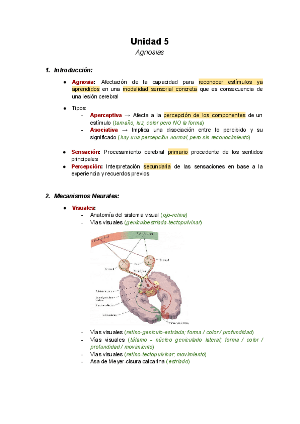 Miniatura del documento Unit-5-Agnosias.pdf