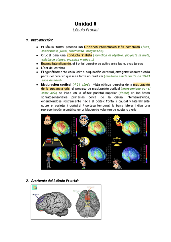 Miniatura del documento Unit-6-Lobulo-Frontal.pdf