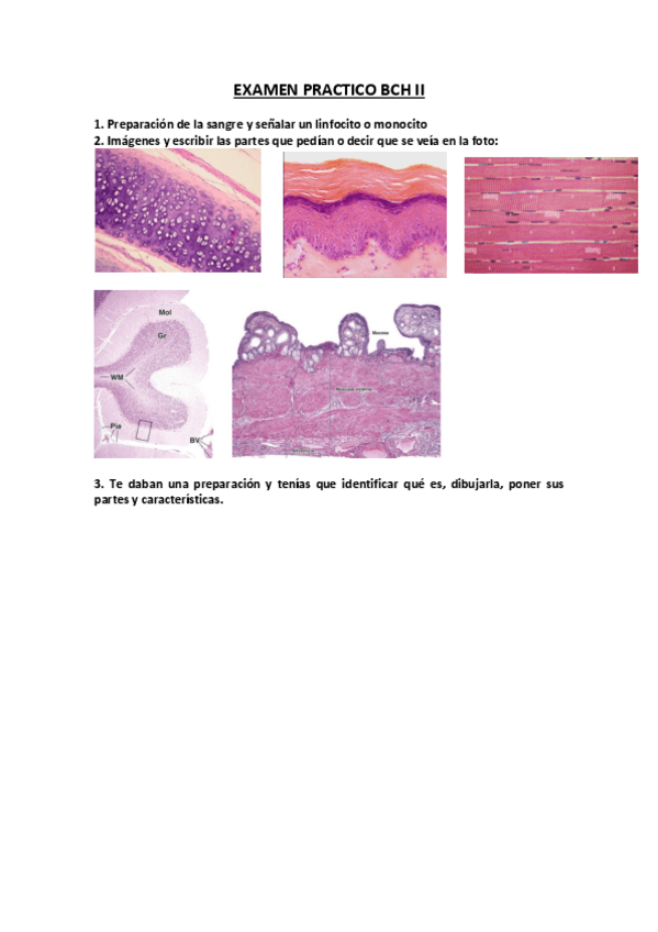 Miniatura del documento EXAMEN-PRACTICO.pdf