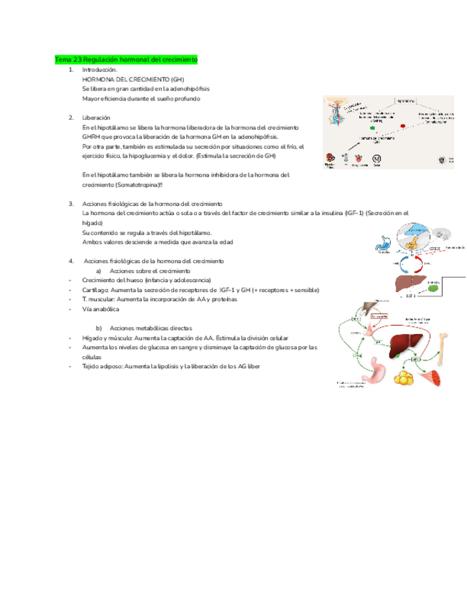 Miniatura del documento Tema-23-Regulacion-hormonal-del-crecimiento.pdf