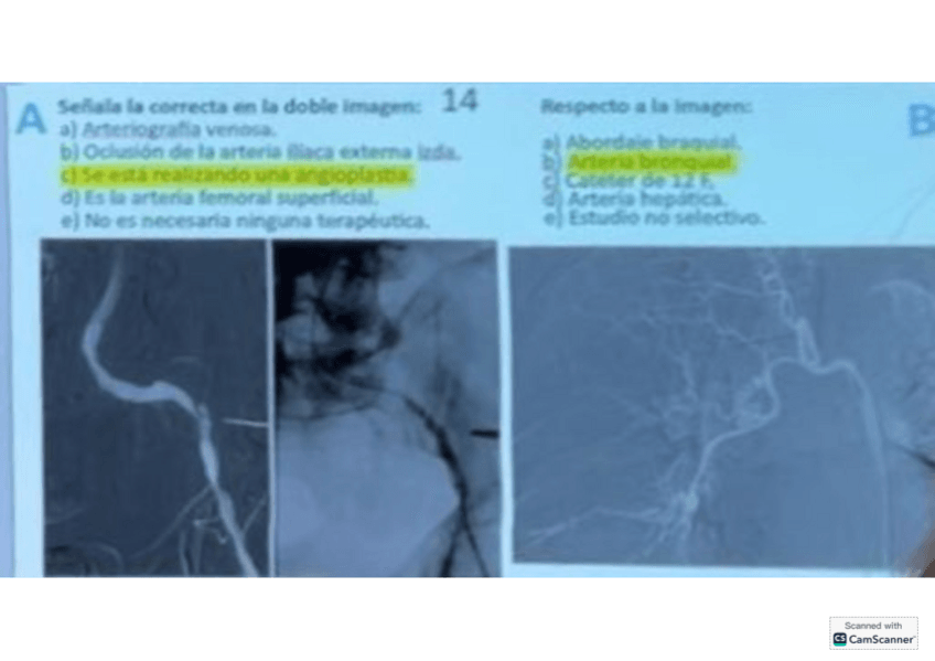 Miniatura del documento RAYOS-II-2023.pdf