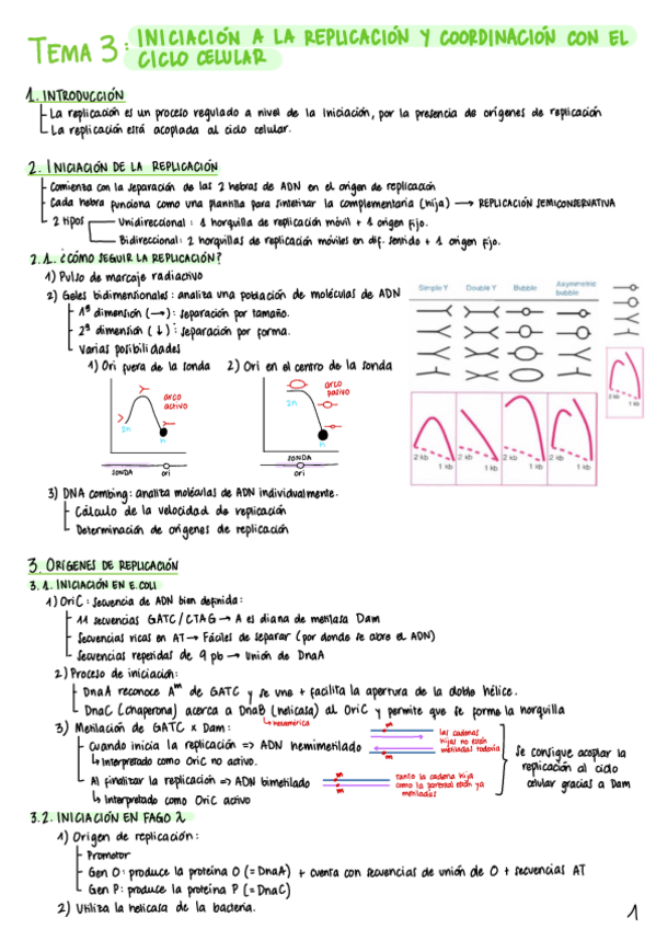 Miniatura del documento Apuntes-1er-pacial.pdf