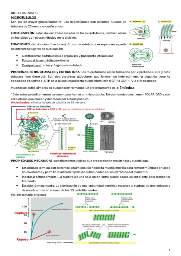 Miniatura del documento BIOLOGIA-Tema-12.pdf