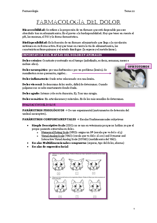 Miniatura del documento 22.-Farmacologia-del-dolor.pdf